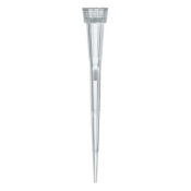 BRAND Filter Tips Racked TipBox 0.5-10uL Non-sterile PP/PE-filter Colourless