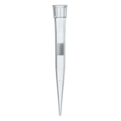 BRAND Filter Tips Racked TipBox 5-100uL BIO-CERT PP/PE-filter Colourless
