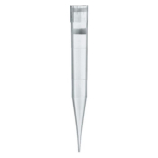 BRAND Filter Tips Racked TipBox 50-1000uL BIO-CERT PP/PE-filter Colourless