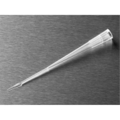 Corning 1-200uL Flat 0.2mm Thick GelLoading Pipette Tip Nonsterile 200Tip/Rack 2rack/Case 400Tips/Ca