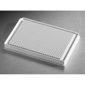 Corning Low Volume 384 Well White Flat Bottom NBS Microplate 10 per Bag without Lid Nonsterile