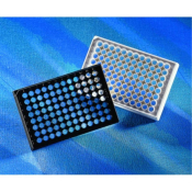 Corning 96 Well Flat Clear Bottom White TC-Treated Microplates Individually Wrapped with Lid Sterile