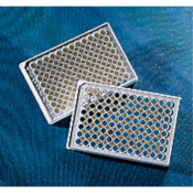 Corning 96 Well Half Area White Flat Bottom NBS Microplate 25 per Bag without Lid Nonsterile