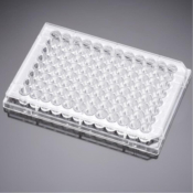 BioCoat Collagen IV 96 Well Clear Flat Bottom TC-Treated Microplate, with Lid, Nonsterile