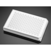 Corning BioCoat Poly-D-Lysine 96-Well TC-Treated  Microplate, White/Opaque, Flat Bottom, with Lid,