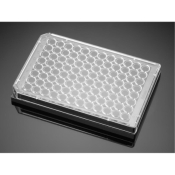 Corning BioCoat Poly-D-Lysine 96-Well Black  TC-Treated Microplate, Black/Clear, Flat Bottom,  with