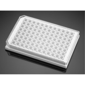 Corning BioCoat Poly-D-Lysine 96-Well TC-Treated  Microplate, White/Clear, Flat Bottom, with Lid,  N