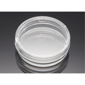 Corning Primaria Easy Grip, Surface Modified Cell  Culture Dish, 35x10mm (Diam x H), 9.6cm2 Cell  Gr