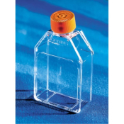Corning CellBIND 25cm2 Rectangular, Canted Neck,  Cell Culture Flask with Vent Cap