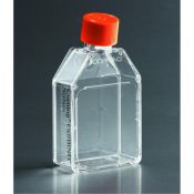 Corning CellBIND 225cm2 Rectangular, Angled Neck, Cell Culture Flask with Vent Cap