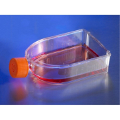 Corning Ultra-Low Attachment 75cm2 U-Shaped  Canted Neck Cell Culture Flask with Vent Cap