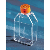 Flask 25cm Ultra Low Attach CA