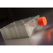 Corning CellBIND Surface HYPERFlask M Cell  Culture Vessel, Treated, Sterile, Bar Coded, 4/Bag 4/Cas