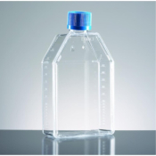Corning BioCoat Poly-D-Lysine 75cm2 TC-Treated  Flask with Vented Cap, Rectangular, Canted Neck