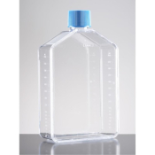 Corning BioCoat Poly-D-Lysine 175cm2 TC-Treated  Flask with Vented Cap, Rectangular, Straight Neck