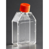 Corning 25cm2 Rectangular Canted Neck Cell Culture Flask with Plug Seal Cap