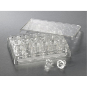 6.5mm Transwell with 0.4um Pore Polycarbonate Membrane Insert Sterile