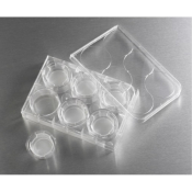24mm Transwell with 3um Pore Polyester Membrane Insert Sterile