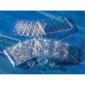 12mm Transwell with 3.0um Pore Polyester Membrane Insert Sterile