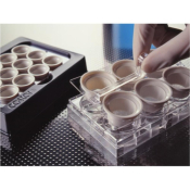 Netwell 12 Well Carrier Kit for 15mm Inserts  Nonsterile