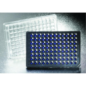 Falcon 96 Square Well Flat Bottom Microplate with Lid