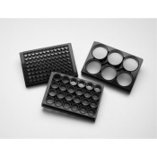 Corning Elplasia 96 Well Black/Clear Round Bottom Ultra-Low Attachment Micro-Cavity Plates - 500 x 4