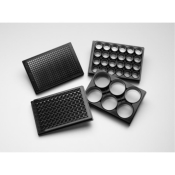 Corning Elplasia 6 Well Black/Clear Square Bottom Plasma Treated Micro-Cavity Plates - 200 x 100um W