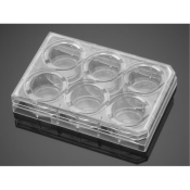 BioCoat Fibronectin 6 Well Clear Flat Bottom TC-Treated Multiwell Plate, with Lid, Nonsterile