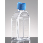 BioCoat Collagen IV 24 Well Clear Flat Bottom  TC-Treated Multiwell Plate, with Lid, Nonsterile