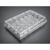 BioCoat Growth Factor Reduced (GFR) Matrigel Invasion Chamber
