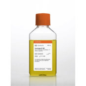 500mL INSECTAGRO SF9 serum free