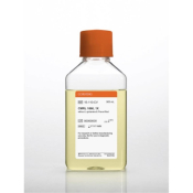 500mL CMRL 1066 without L-glutamine