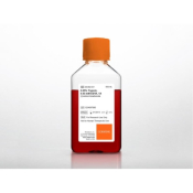 500mL Trypsin EDTA 1x 0.05% Trypsin/0.53 mM EDTA in HBSS without calcium and magnesium Porcine Parvo
