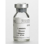 Ultrapure Laminin, Mouse, 1 mg