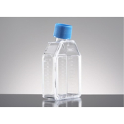 Corning BioCoat Collagen I 8-Well Culture Slide,  Glass Slide with Polystyrene Vessel, Lid and  Safe