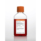 500mL MEM (Minimum Essential Medium) with 1.5 g/L sodium bicarbonate NEAA L-glutamine and sodium pyr