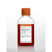 500mL DMEM (Dulbeccos Modification of Eagles Medium)/F12 50:50 Mix without L-glutamine