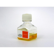 10mL S.O.C. Medium