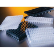 Corning Thermowell GOLD 96 Well Clear Polypropylene PCR Microplate Full Skirt Nonsterile