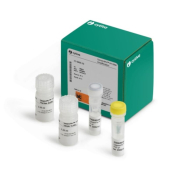Cytiva GenomiPhi HY DNA Amplification Kit - 1000  Reactions
