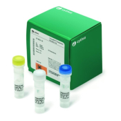 Templiphi Seq Resolver Kit200