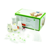 illustra Tissue and Cells GenomicPrep Mini Spin Kit 50 prep