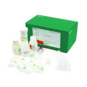 illustra Tissue and Cells GenomicPrep Mini Spin Kit 250 prep