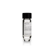 Streptavadin-Hrp Conjugate