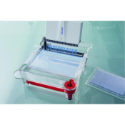 Eppendorf Research plus 24-Channel Variable  Pipette 1-20uL Pink