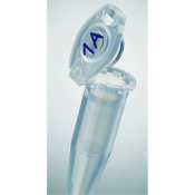 Eppendorf Safe-Lock micro test tubes 0.5ml Biopur individually sealed