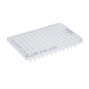 Eppendorf twin.tec 96 Well PCR Plate Semi-Skirted Forensic DNA Grade Clear Wells White Plate