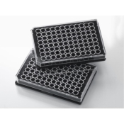 Falcon 96 Well Black Flat Bottom TC-Treated Polystyrene Microplate with Lid Sterile