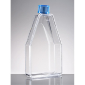 Falcon 150cm2 Canted Neck Low Profile TC-Treated Cell Culture Flask with Vented Cap