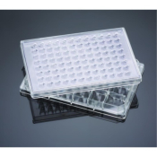 Falcon 96 Well Multiwell Insert System with 1.0um Pore Translucent PET Membrane with Feeder Tray and